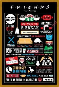 Gerahmte Poster FRIENDS - infographic